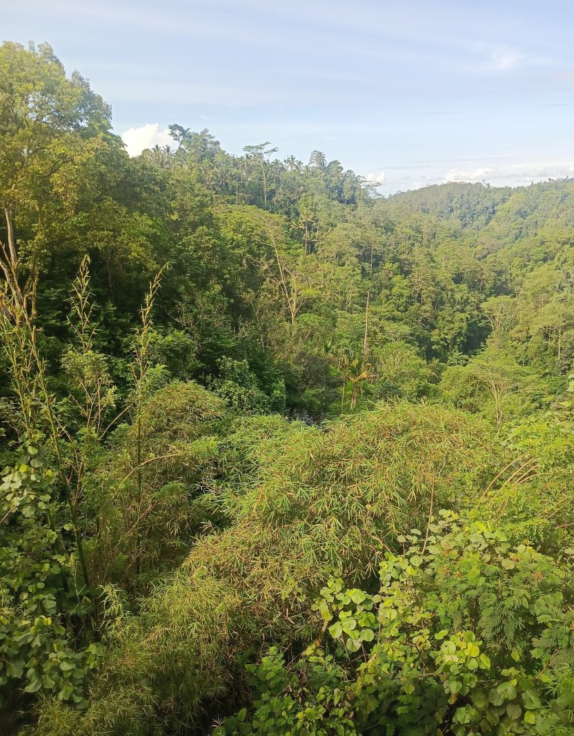 巴厘岛布罕悦榕逸境-官方