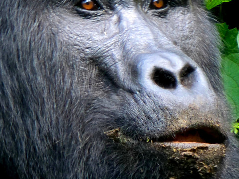 Irembo Africa Safaris Ltd-坎帕拉必去景点