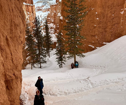 Wall Street-布莱斯峡谷国家公园必去景点