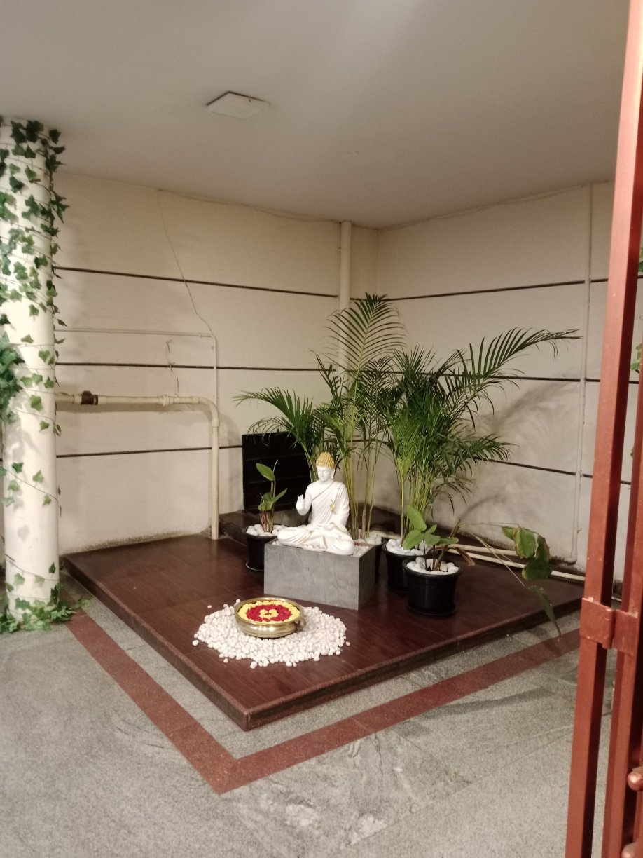 桑达亚酒店-官方