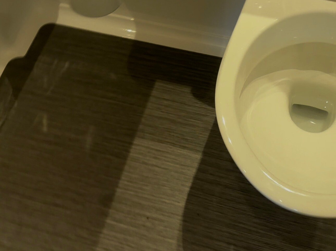 圣奥尔本斯市中心旅客之家酒店主图