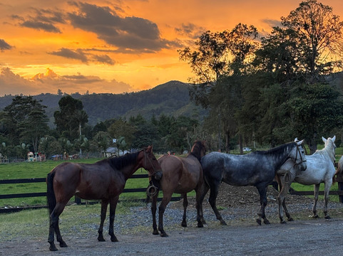 小屋生态酒店主图