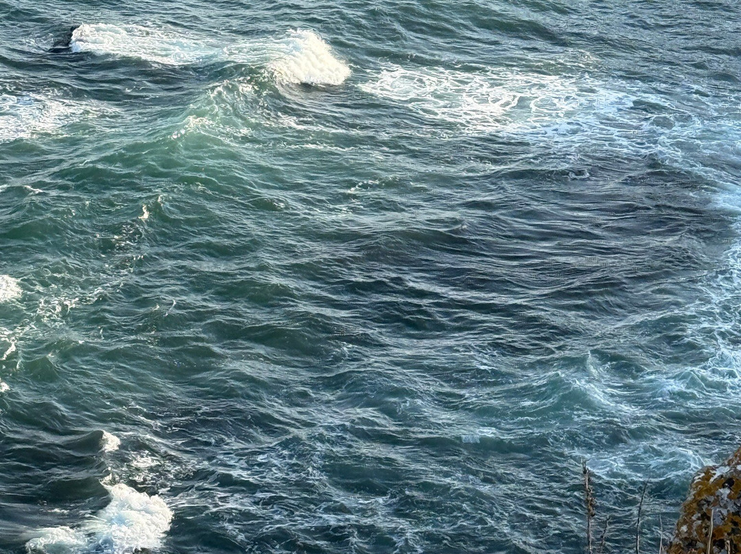 Yaylata National Archeological Reserve-Kavarna必去景点