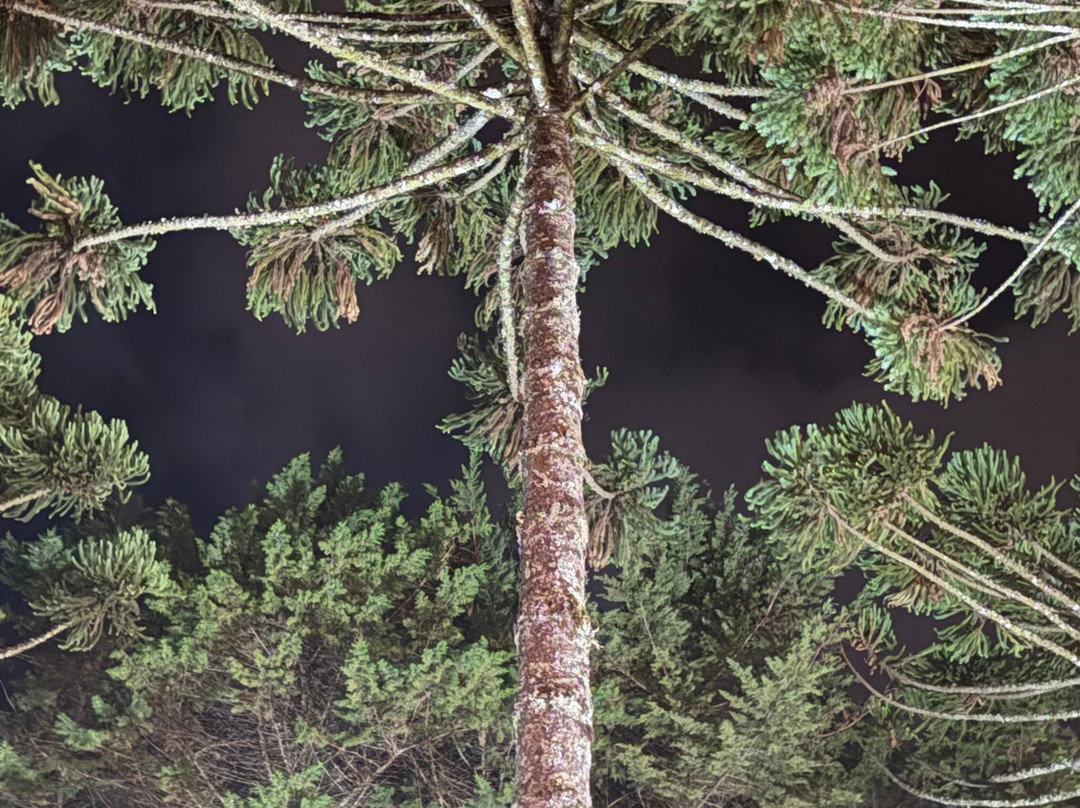 瑞士矿工花园旅馆主图