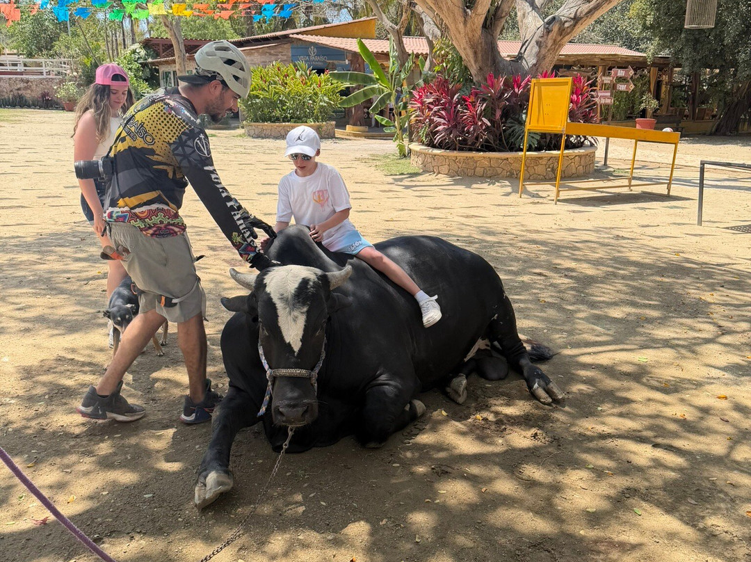 Vista Paraiso - Day Tours and Activities-Higuera Blanca必去景点