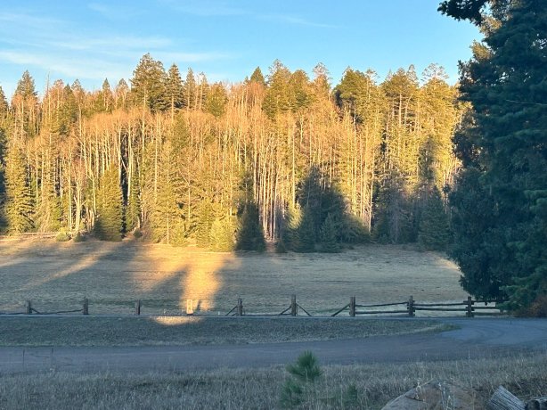Hannagan Meadow Lodge-官方
