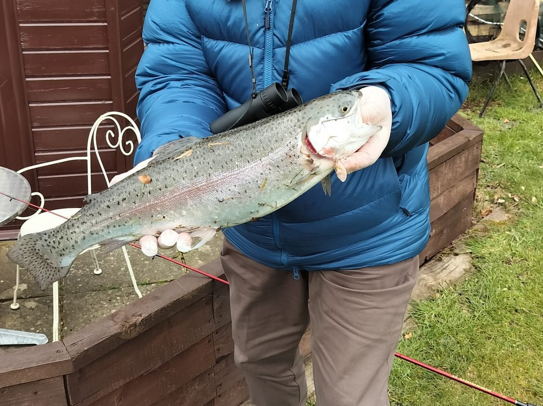 Kailzie Estate-皮布尔斯必去景点