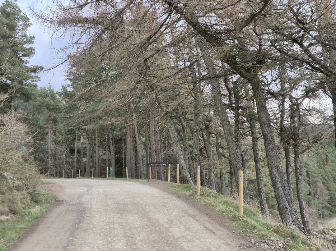 Glentress Forest-皮布尔斯必去景点