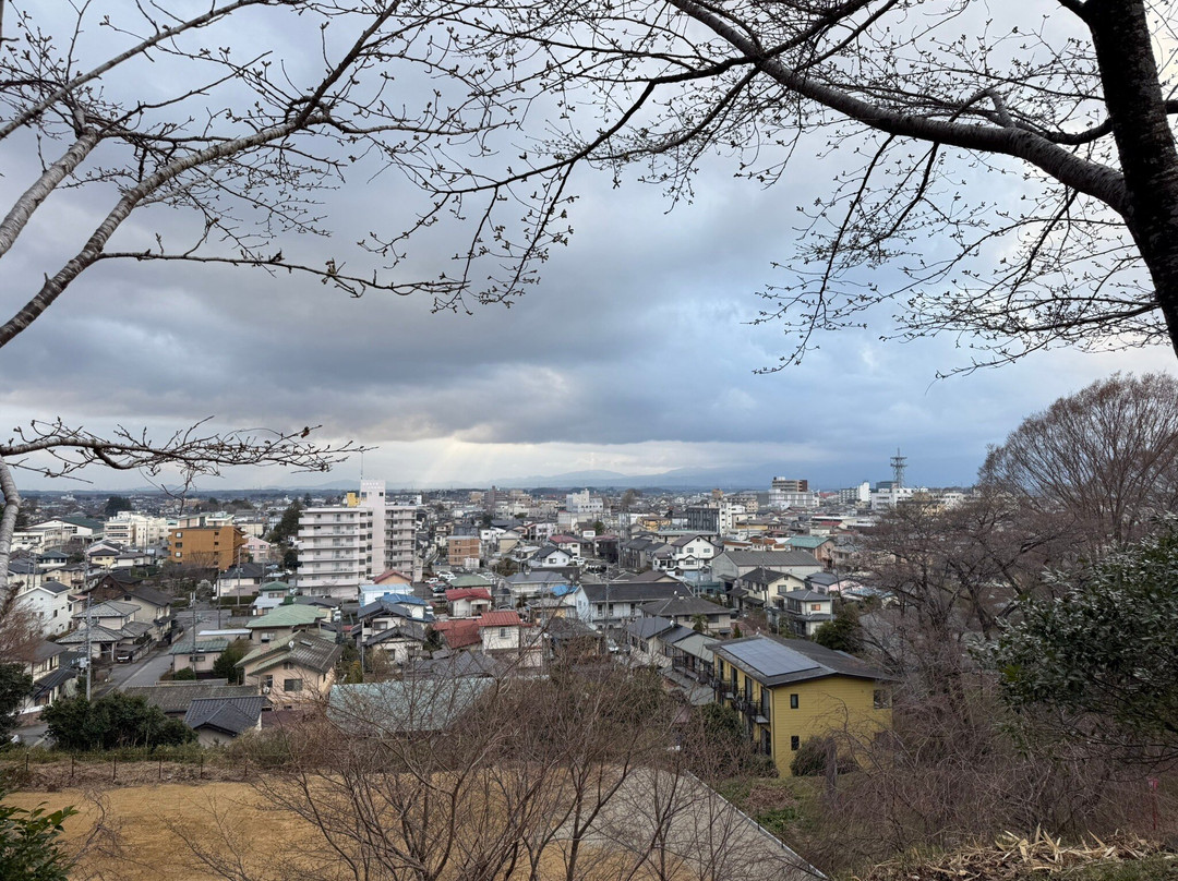 Ryujo Park-太田原市必去景点