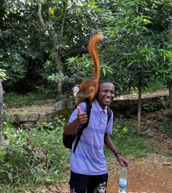 MADA Infinity Tour-迪亚哥苏亚瑞必去景点