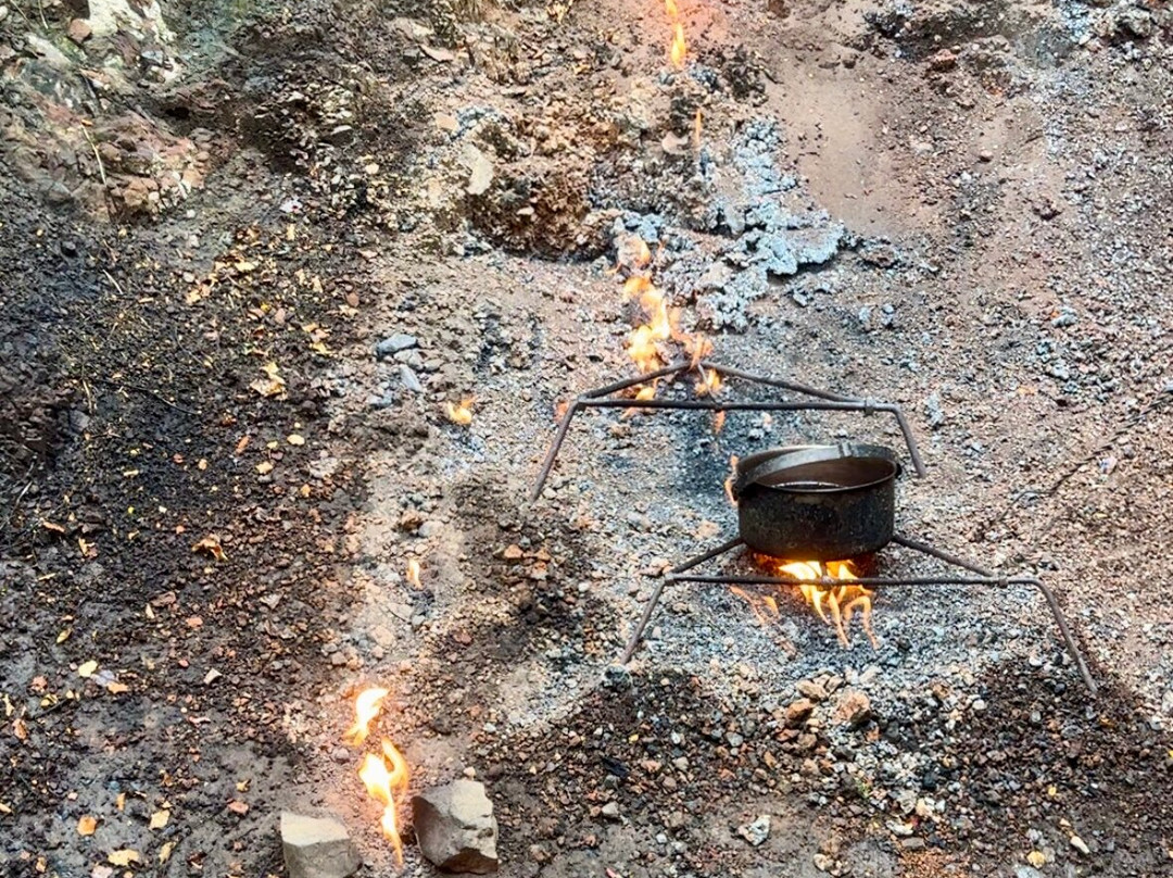 The Natural Flames Experience - Day Tours-Murchison必去景点