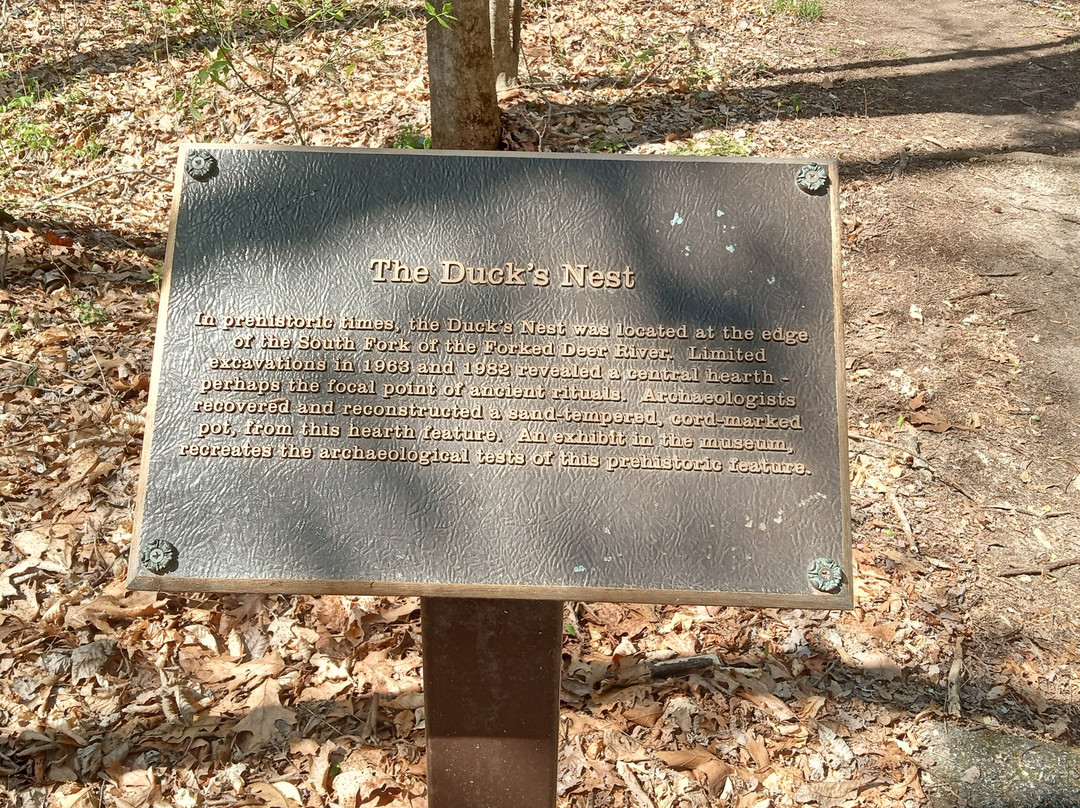 Pinson Mounds State Park-Pinson必去景点