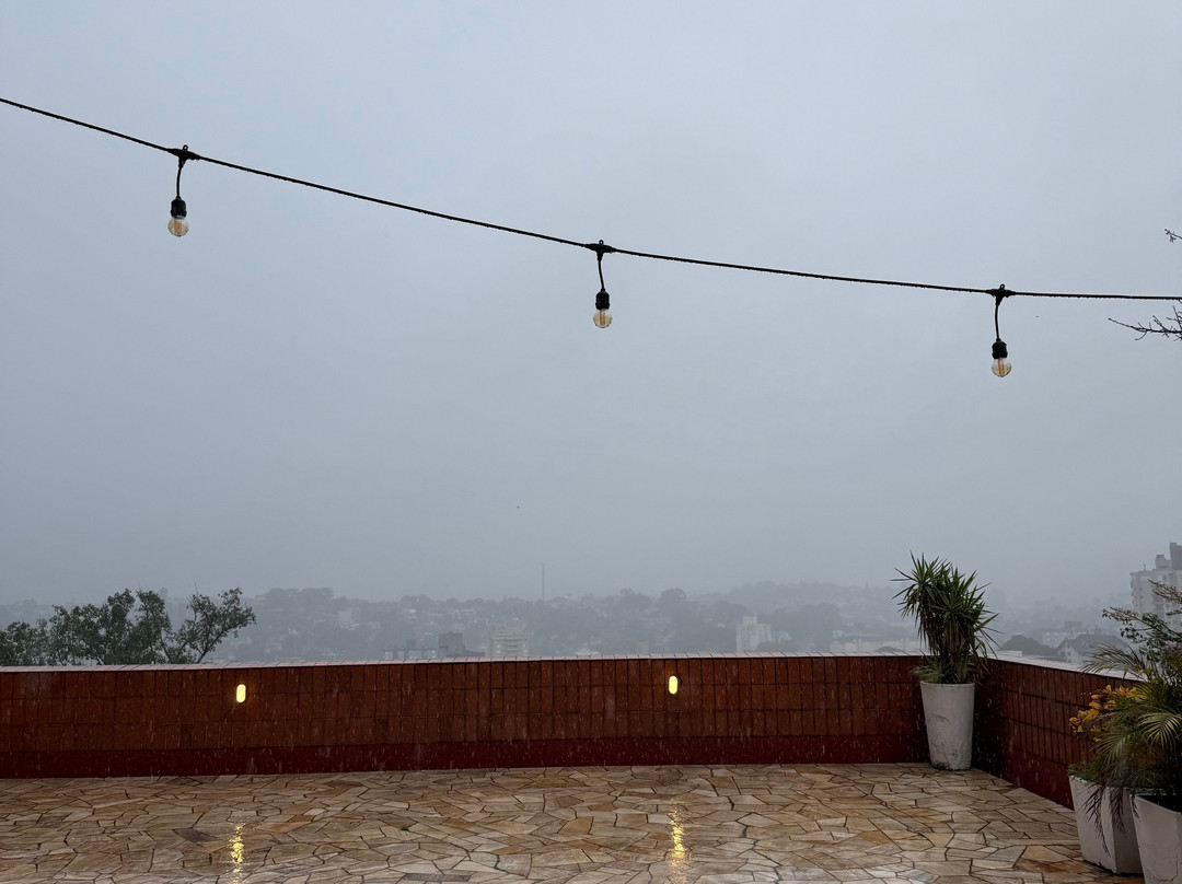 新汉堡天鹅酒店主图