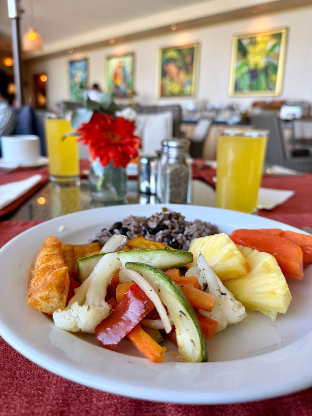 波科波科酒店 - 哥斯达黎加-官方