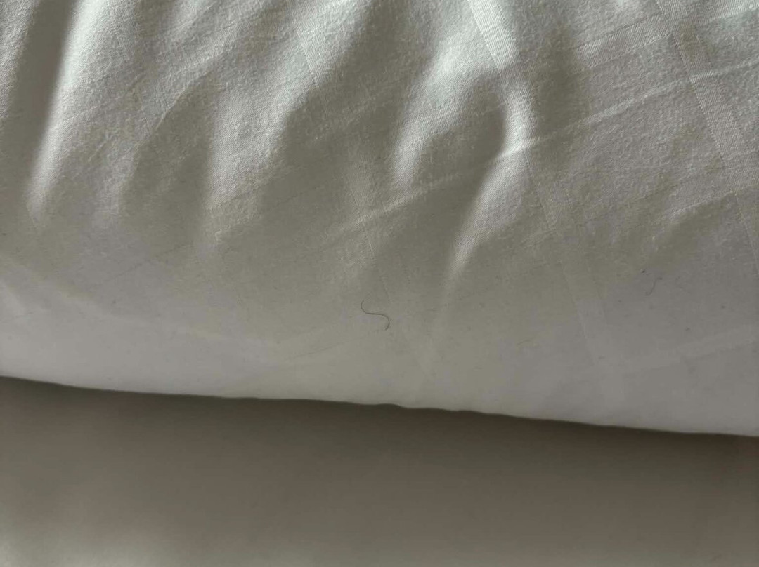 哥本哈根海滩公园斯堪迪克酒店主图