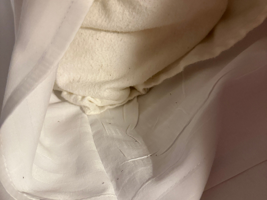 圣皮耶尔酒店主图