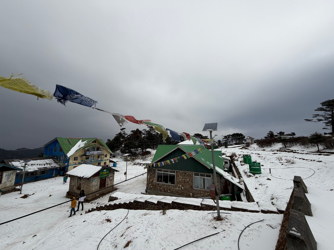 Aamees Alpine Adventure-大吉岭必去景点