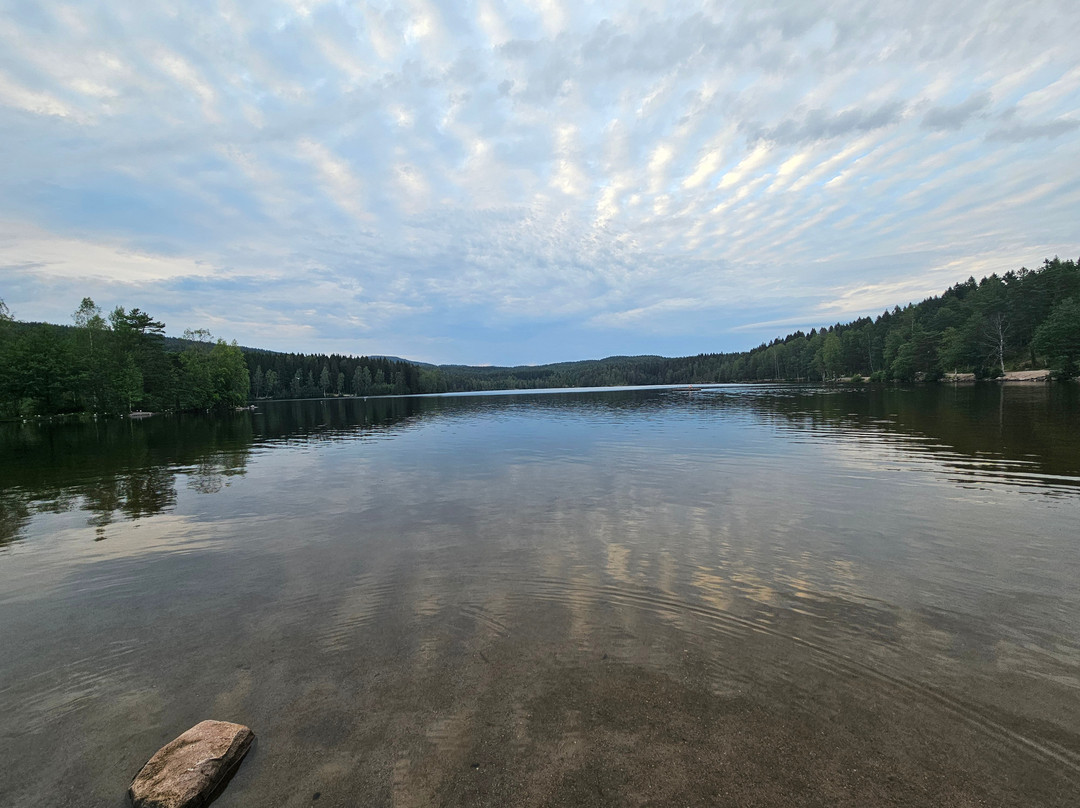 Olympiatoppen Sportshotel - Scandic Partner主图