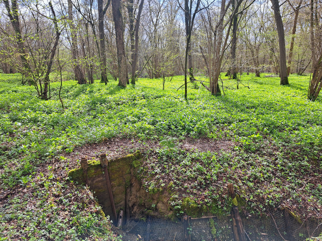 Ulster Memorial Tower & Thiepval Wood-Thiepval必去景点