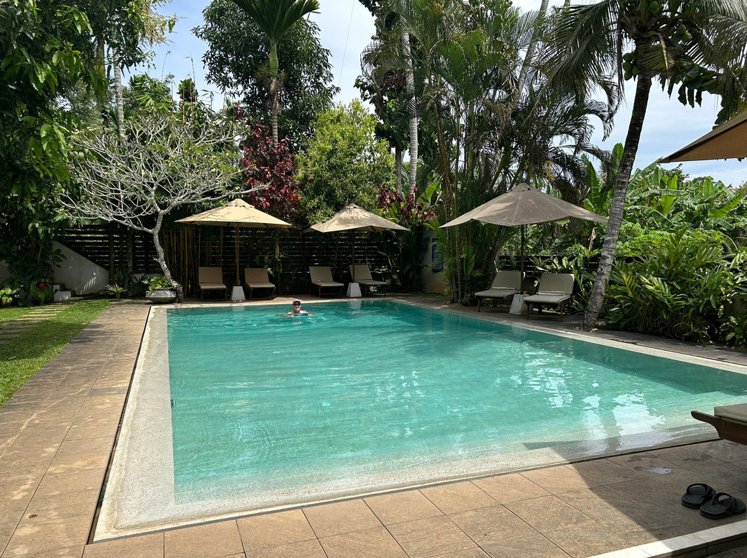 The Secret Guesthouse
