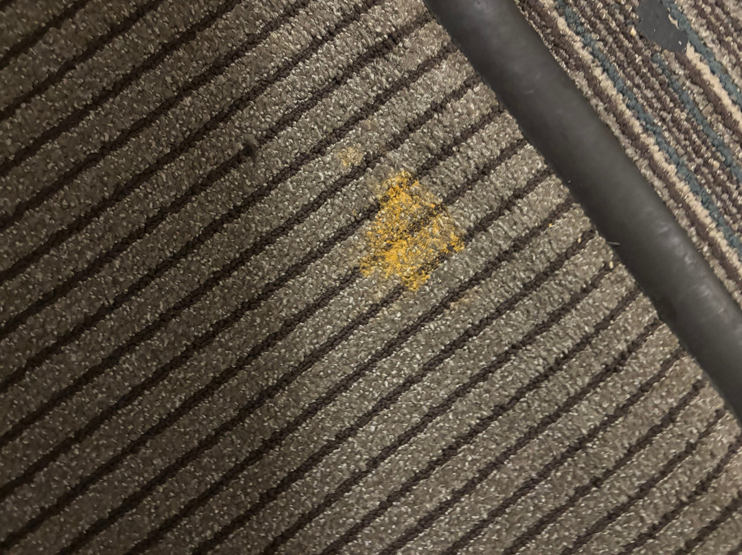 凯悦嘉轩酒店-普鲁士王费城主图