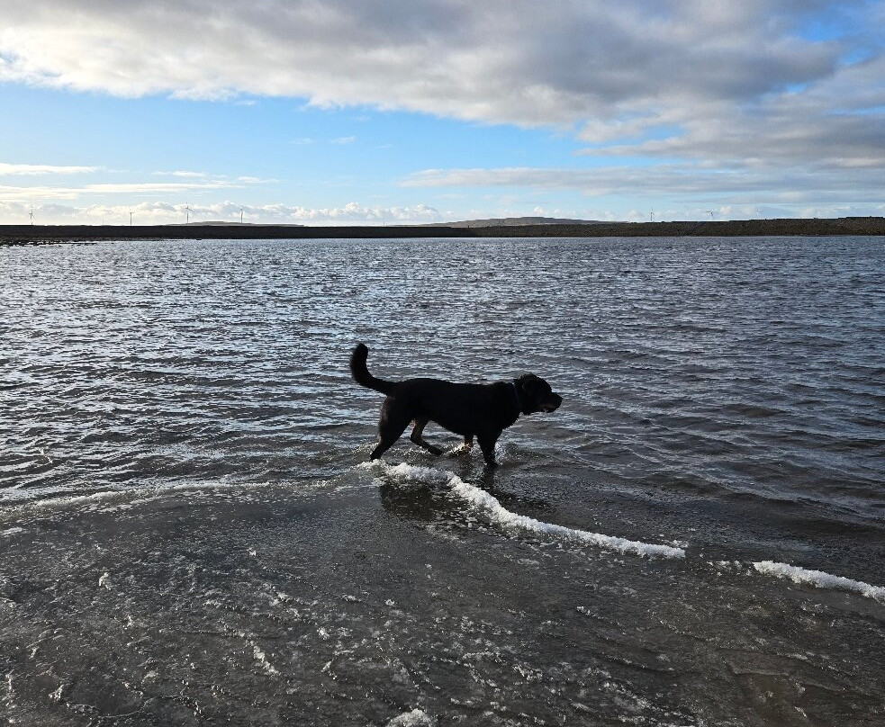 Gaddings Dam-Todmorden必去景点