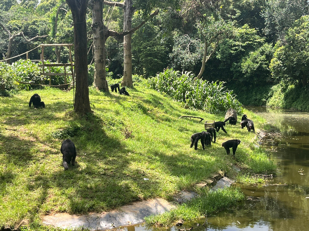 Uganda Wildlife Conservation Education Centre-恩德培必去景点