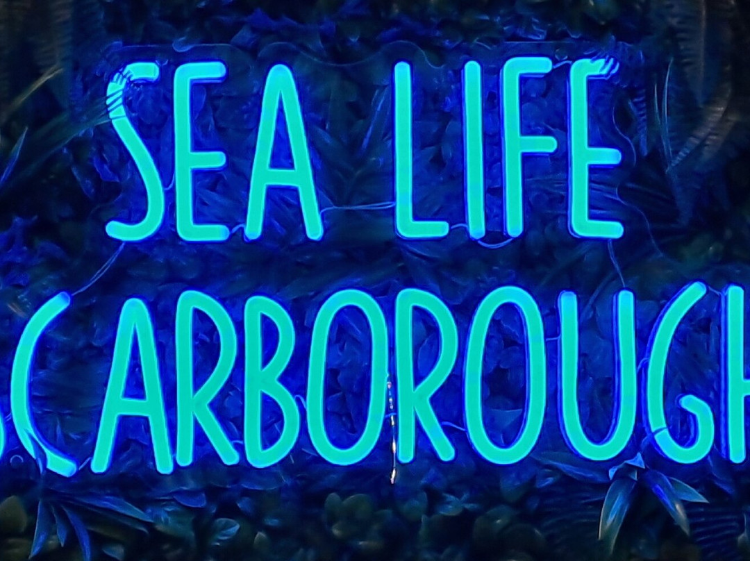 Sea Life Scarborough-斯卡伯勒必去景点