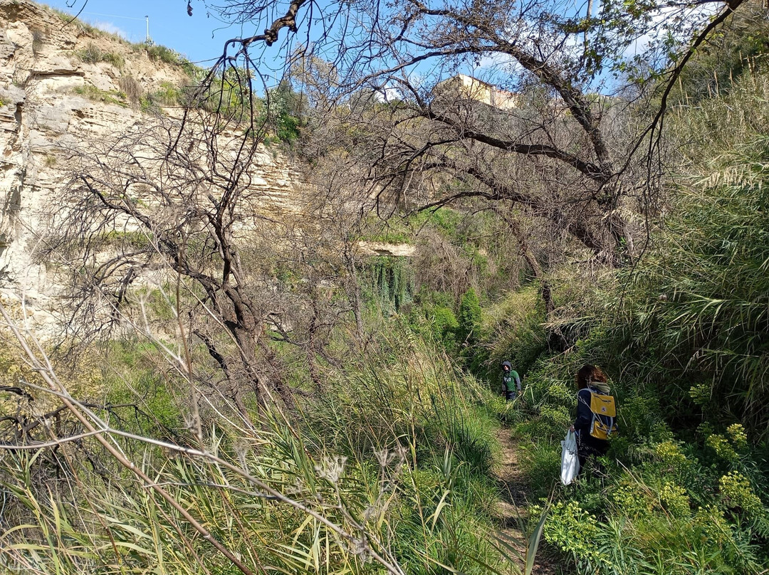 Chiesa e Convento di San Francesco di Paola-科森扎必去景点