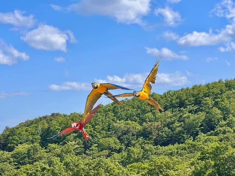 Nasu Animal Kingdom-那须町必去景点