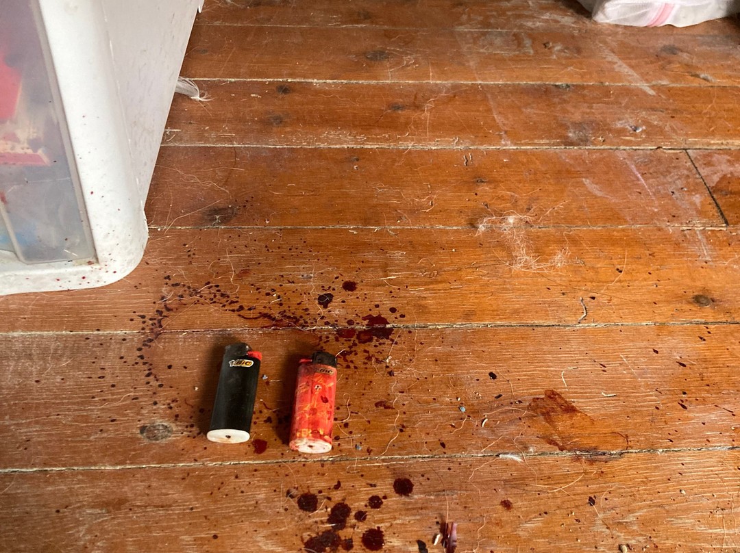 Forêt De Barbizon-巴比松必去景点