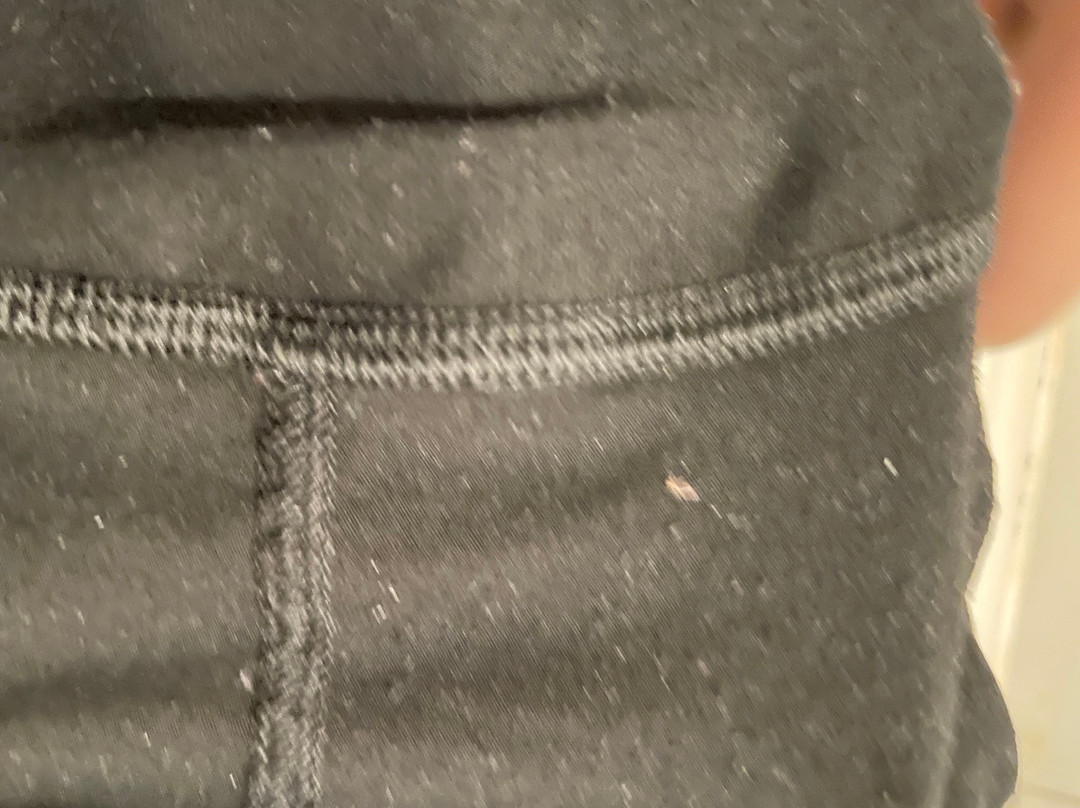 阿姆斯特丹机场贝斯特韦斯特优质酒店主图