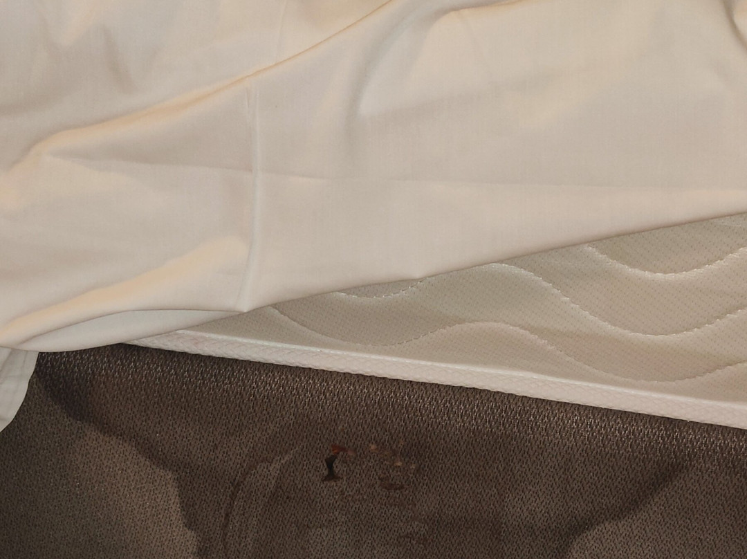 Jungle Aqua Park-赫尔格达必去景点