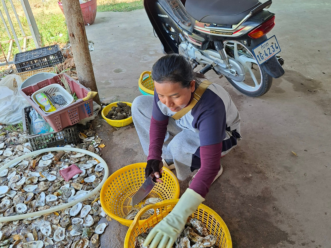 Irrawaddy Dolphins & Coastal Wonders Tour-贡布必去景点
