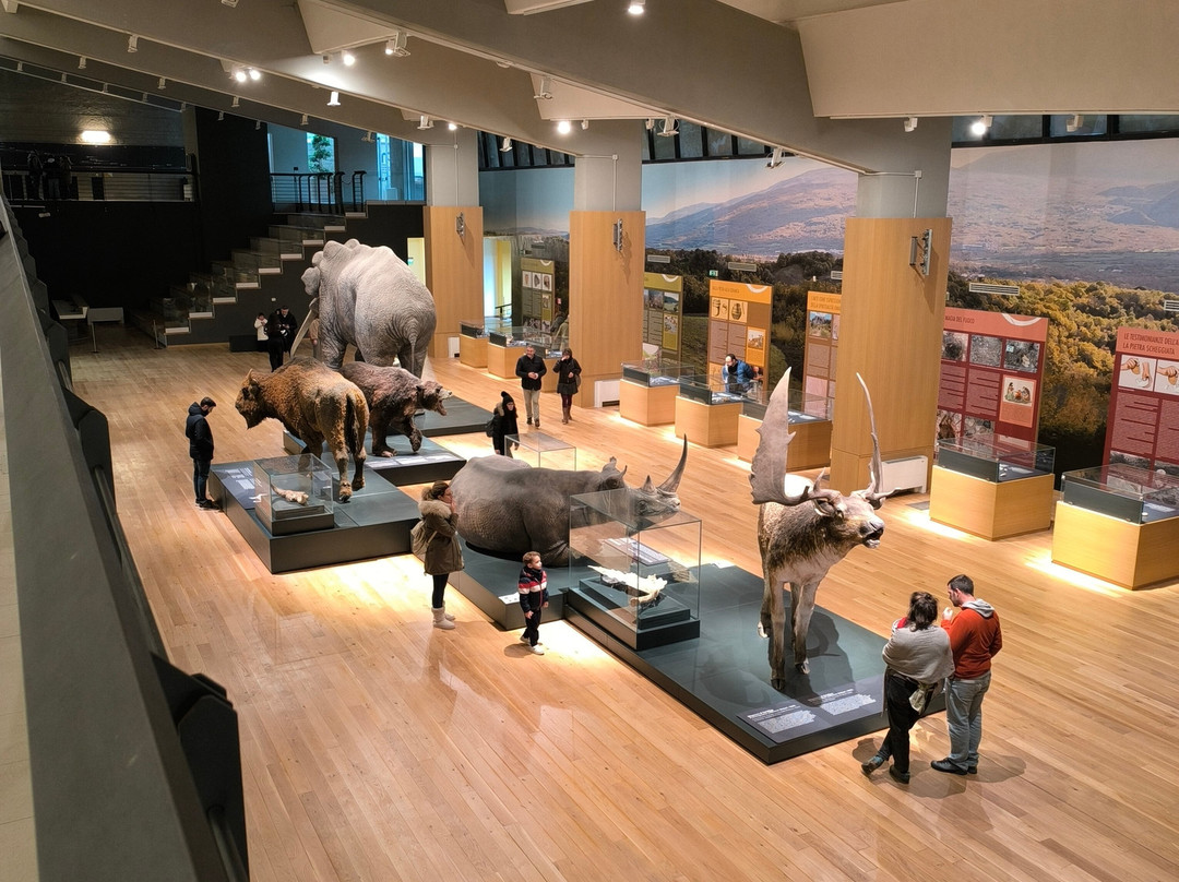 Museo Nazionale del Paleolitico-伊塞尔尼亚必去景点
