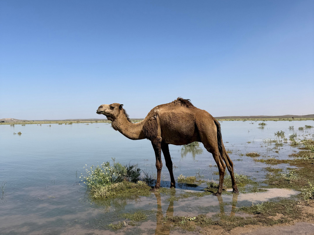 Make Morocco Tours-丹吉尔必去景点