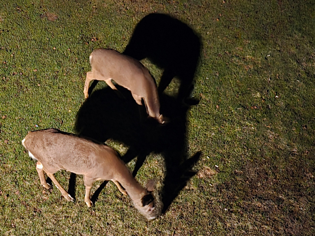 Water's Edge Inn主图