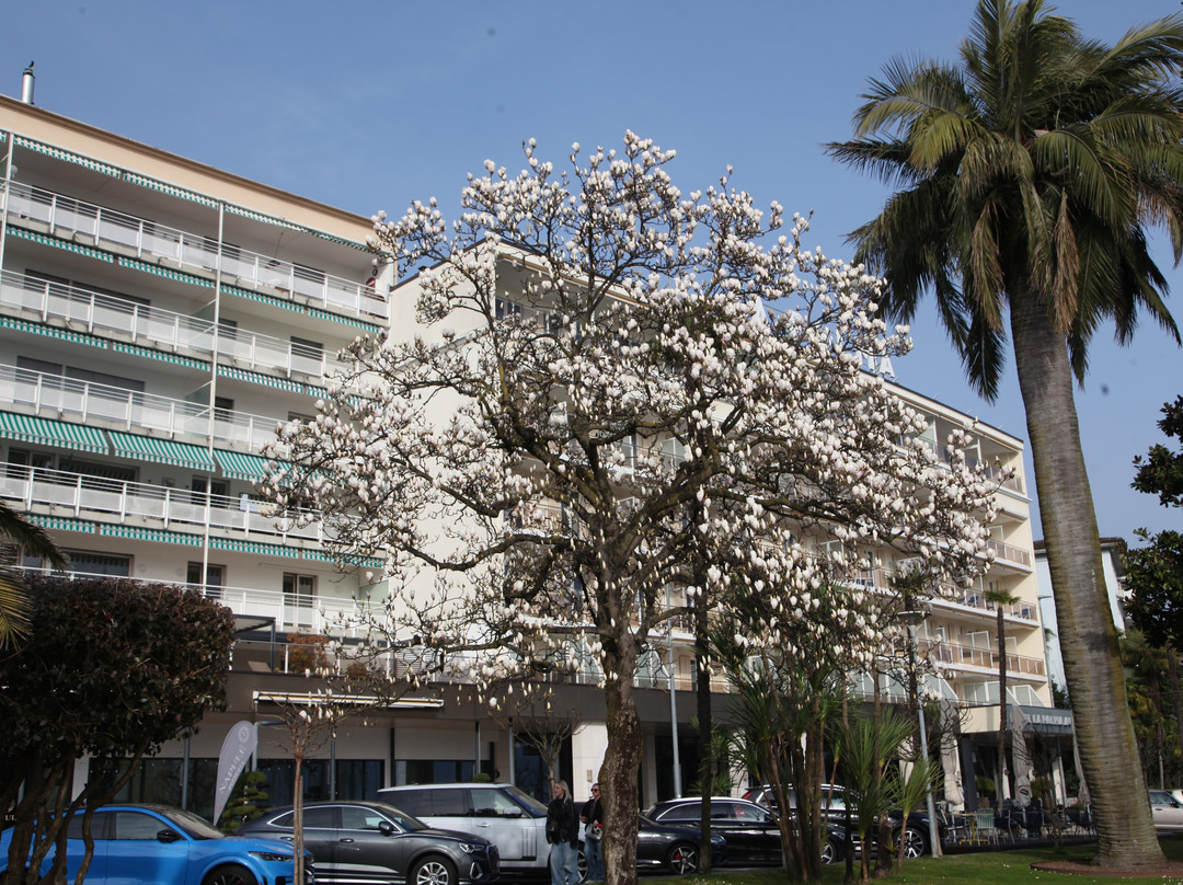 Seepromenade Von Locarno-洛迦诺必去景点