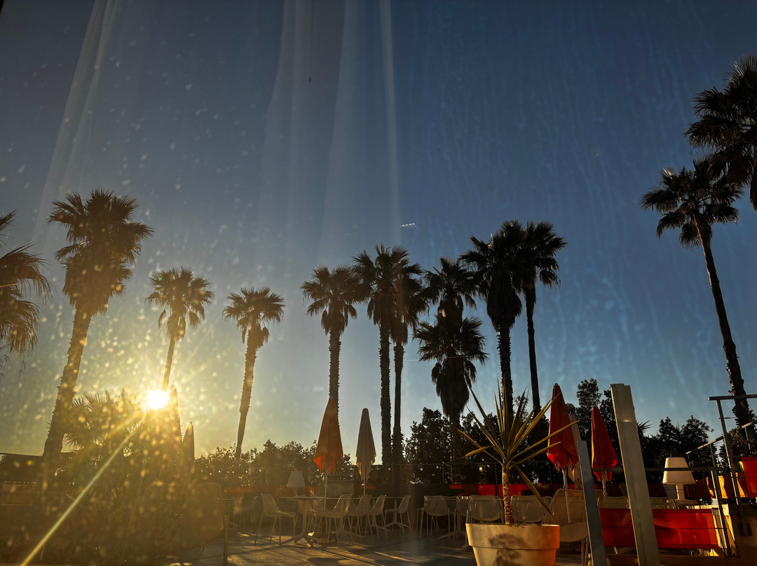 奥斯特拉餐厅 Spa 酒店主图