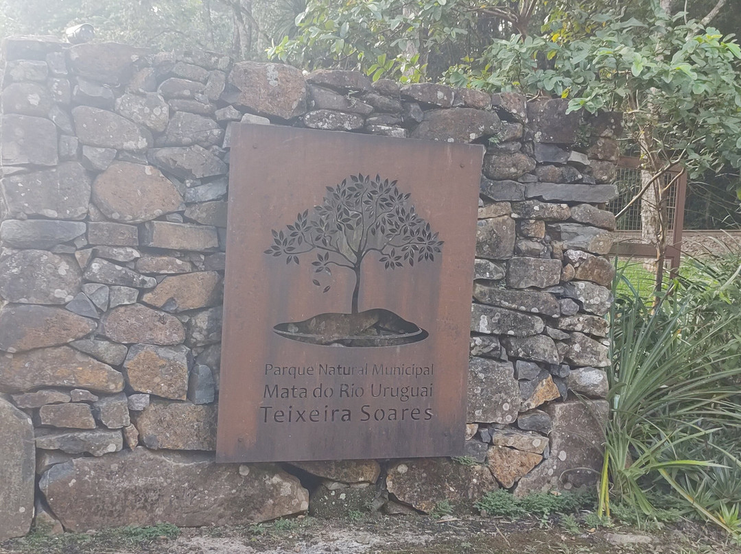 Parque Municipal Teixeira Soares-Marcelino Ramos必去景点