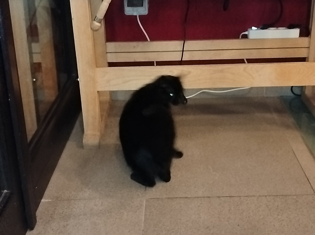 活力La Torre酒店主图