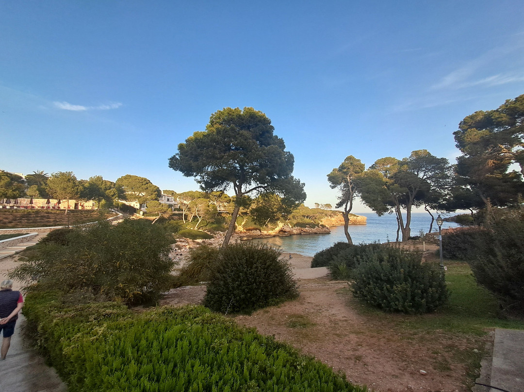 Cala Esmeralda Beach-卡拉多尔必去景点