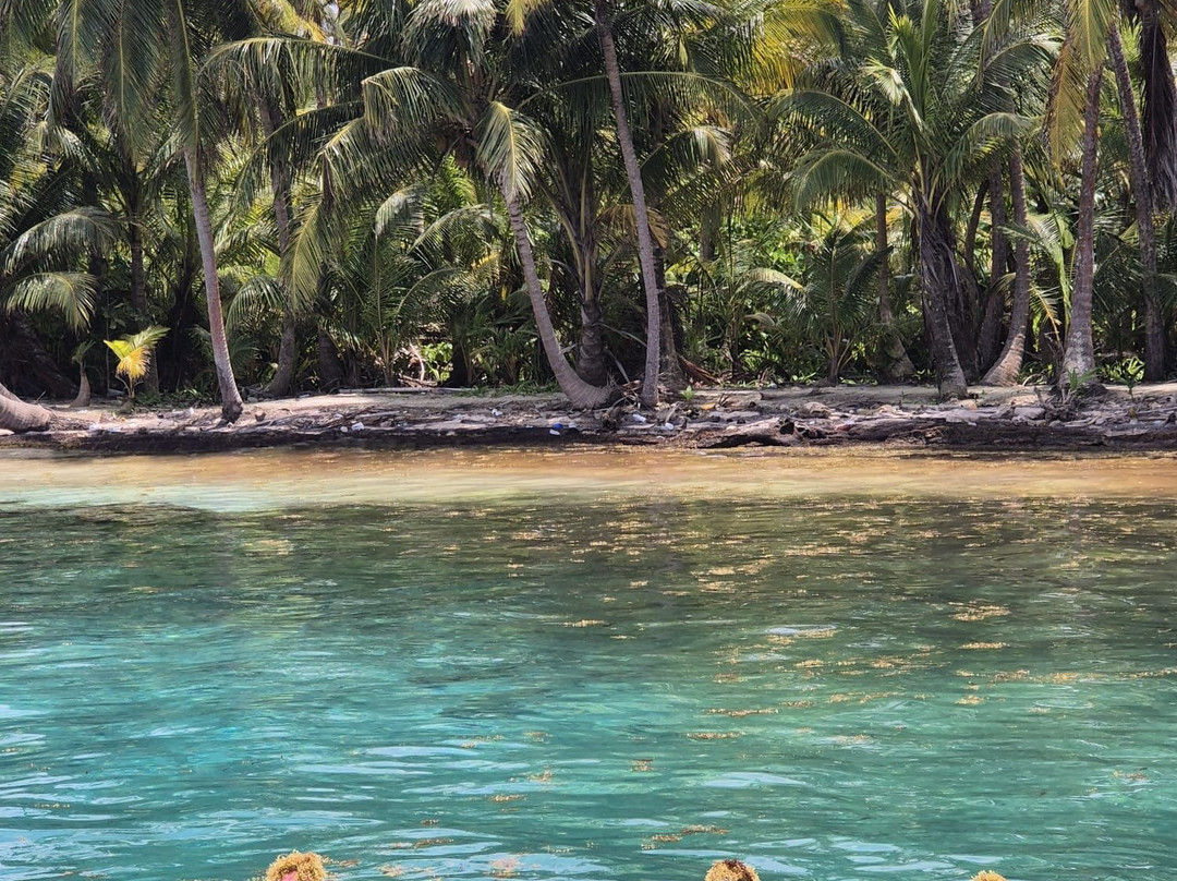 El Gitano del Mar-埃尔波韦尼尔必去景点