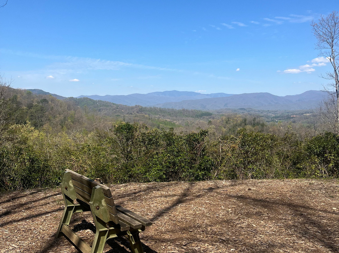大雾山丘陵地带的Outland小木屋及套房主图