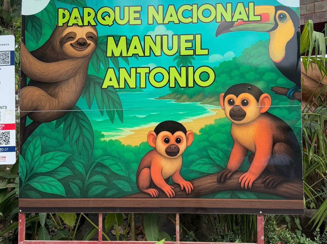 Manuel Antonio National Park-哥斯达黎加安东尼奥国家公园必去景点
