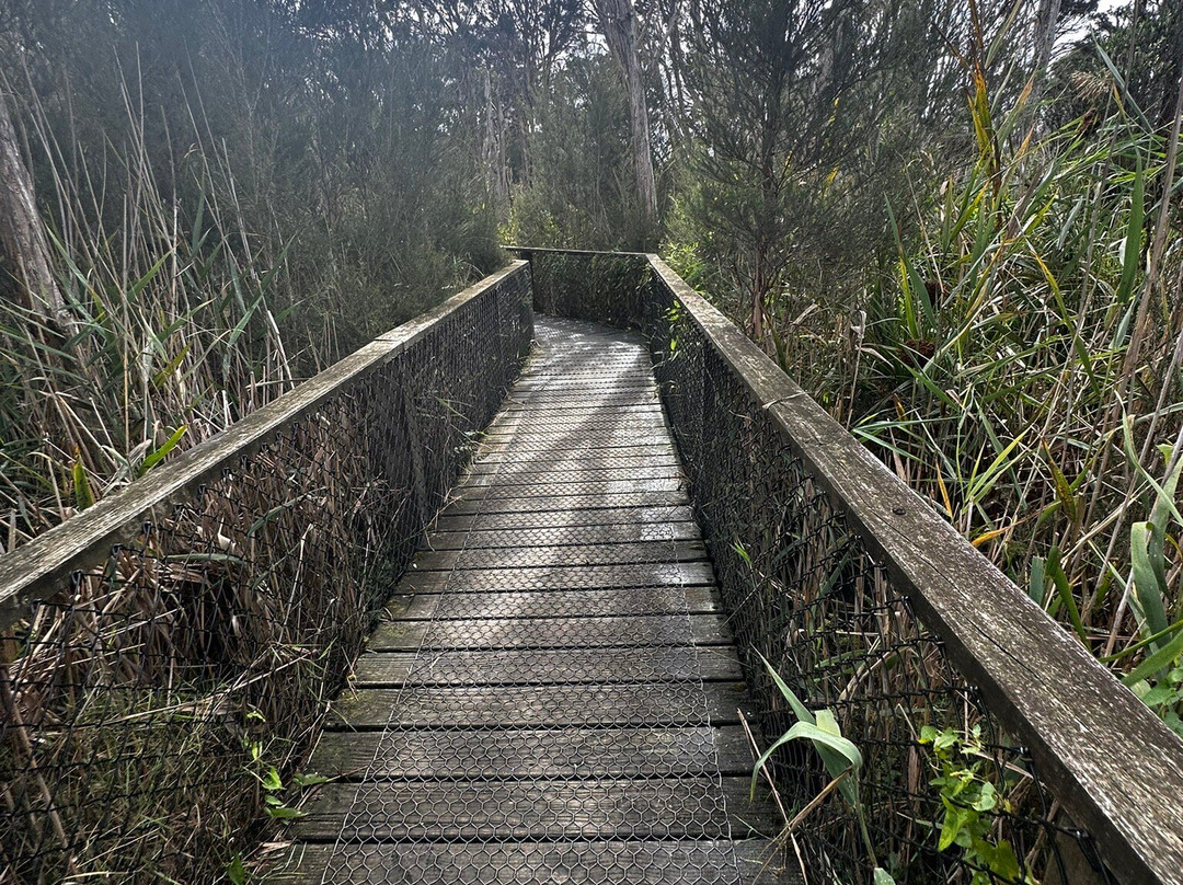 Boneo Discovery Park-Fingal必去景点