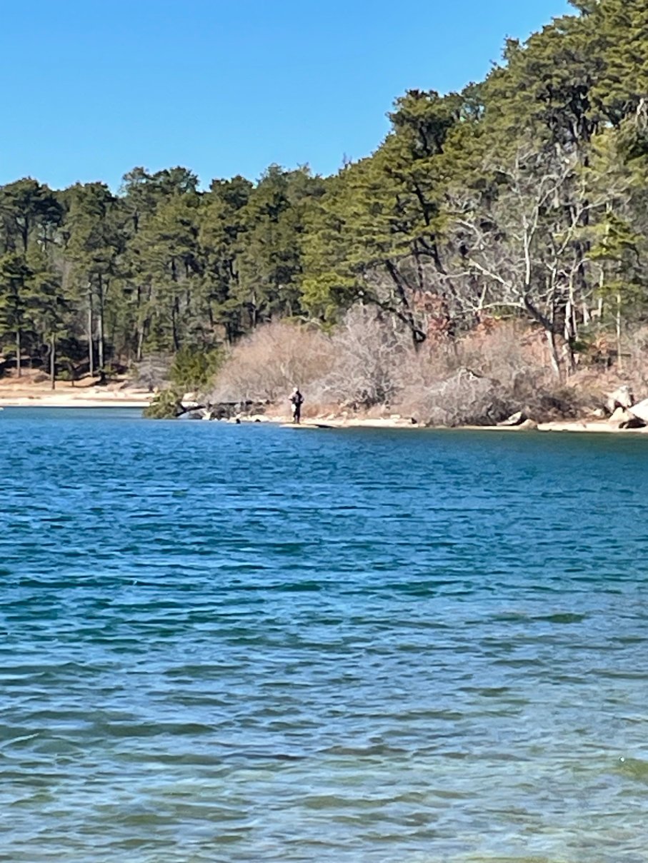 斯卡克特海滩汽车旅馆-泳池