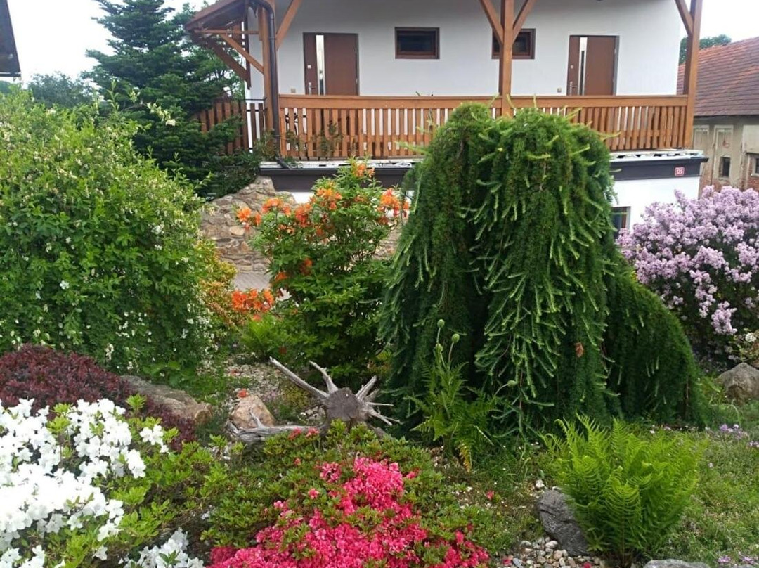 Apartmany Kojcice