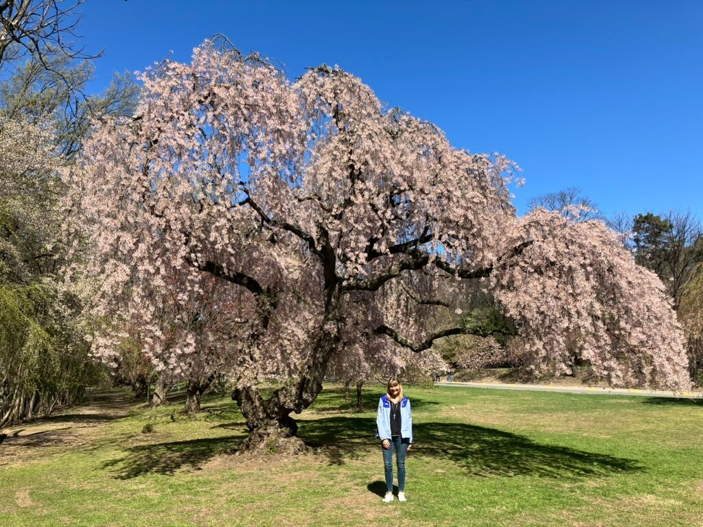 Branch Brook Park-纽瓦克必去景点