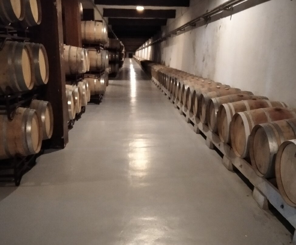 Bodegas Franco Espanolas-洛格罗尼奥必去景点